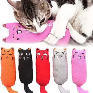Legendog 5Pcs Bite Resistant Catnip Toy for Cats,Catnip Filled Cartoon Mice Cat Teething Chew Toy